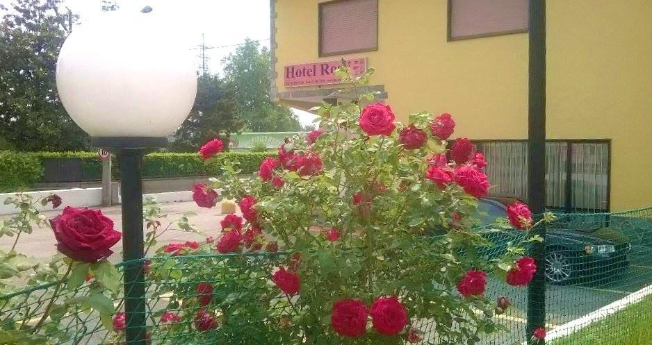 Rosy Hotel